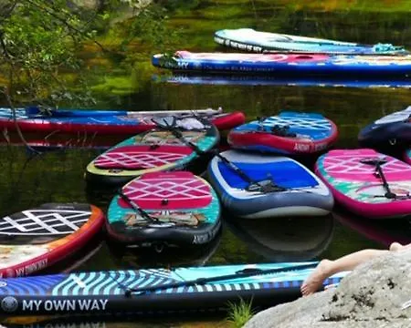 Tree Pool Arcos de Valdevez