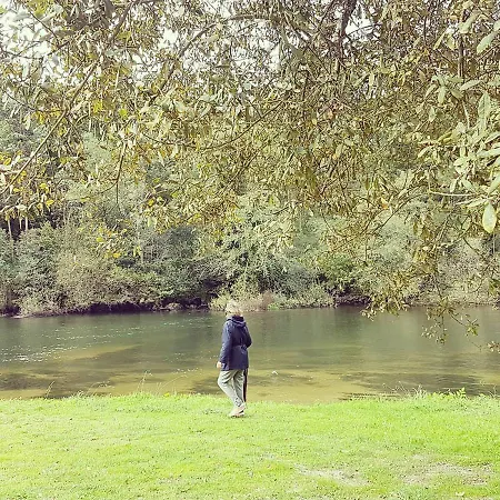 Tree Pool Arcos de Valdevez