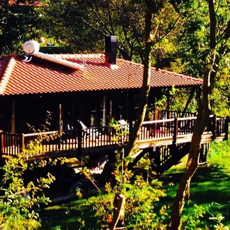 Tree Pool * Arcos de Valdevez