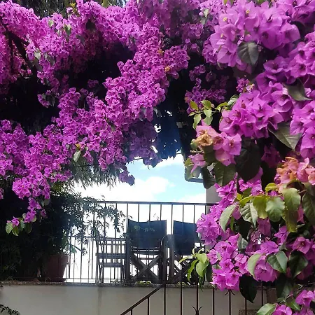 Tree Pool Casa de Férias Arcos de Valdevez