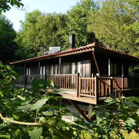 Tree Pool Arcos de Valdevez