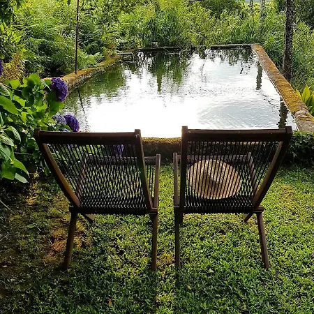 Casa de Férias Tree Pool