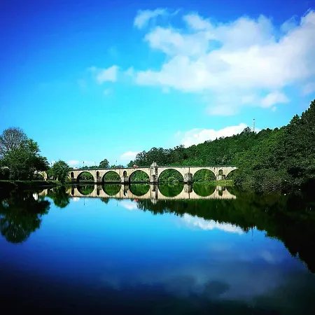 Tree Pool Сasa de vacaciones *