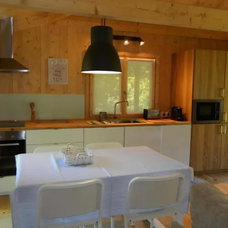 Tree Pool Arcos de Valdevez