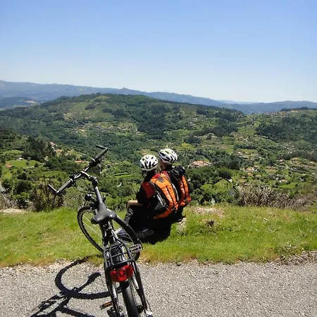 Tree Pool Сasa de vacaciones *