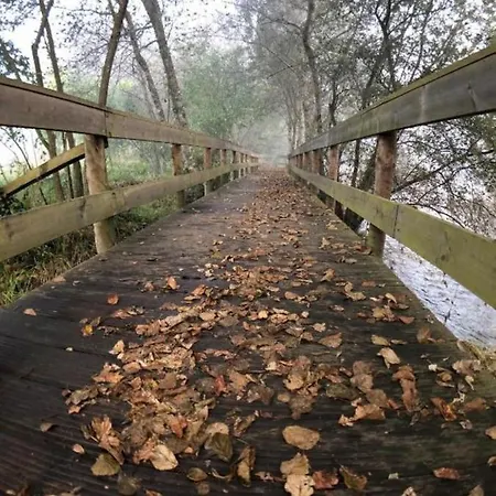 Tree Pool Сasa de vacaciones *