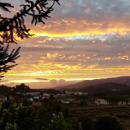 Tree Pool * Arcos de Valdevez
