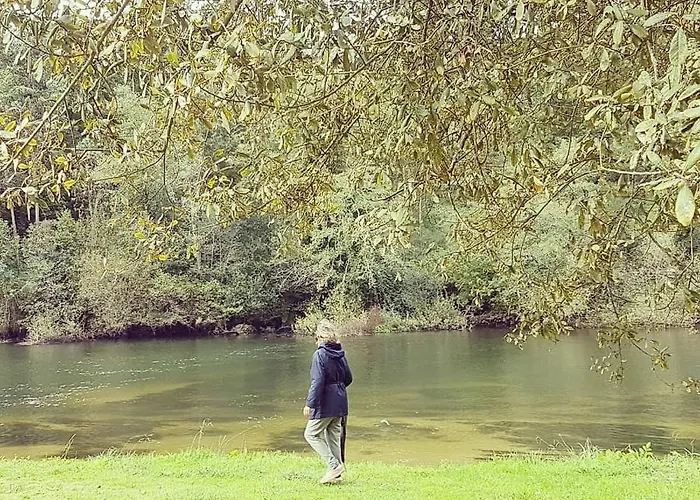 Tree Pool Arcos de Valdevez