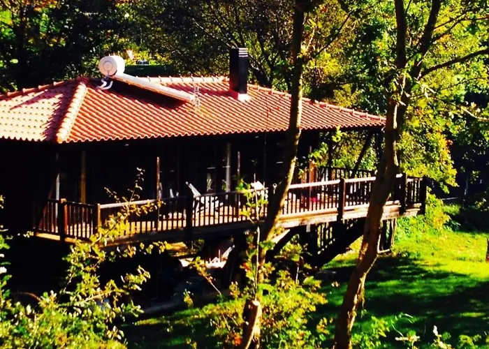 Tree Pool * Arcos de Valdevez