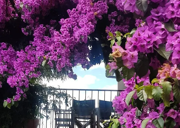 Tree Pool Feriehus Arcos de Valdevez