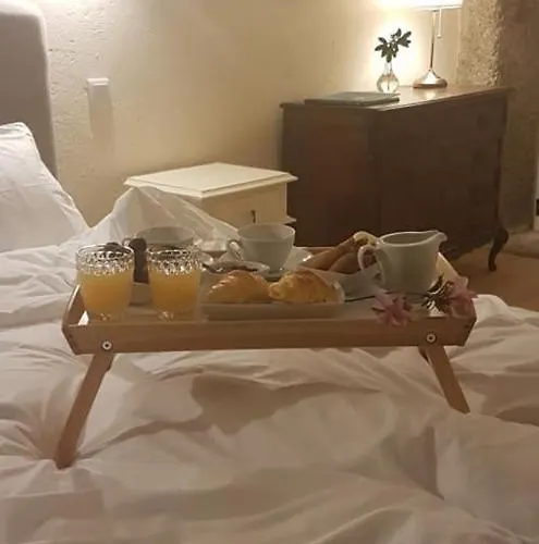 Tree Pool Feriehus Arcos de Valdevez