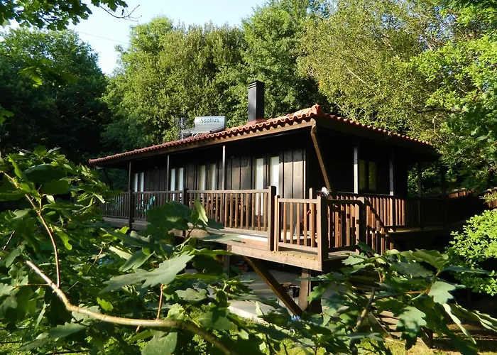 Tree Pool Arcos de Valdevez