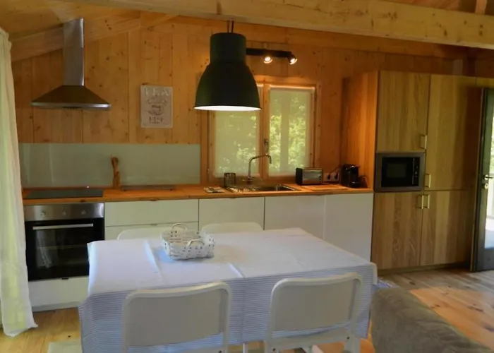 Tree Pool Arcos de Valdevez