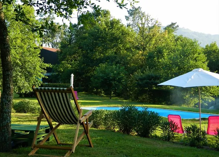 Tree Pool Arcos de Valdevez