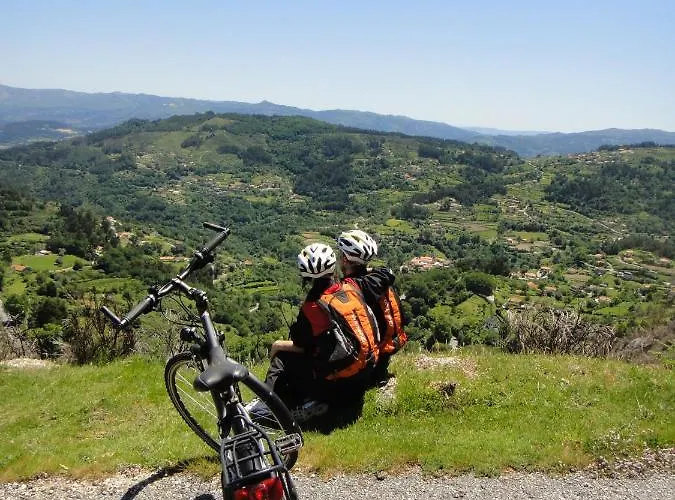 Tree Pool Feriehus *