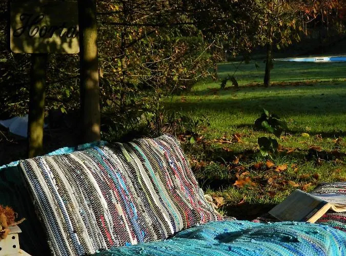 Tree Pool Arcos de Valdevez