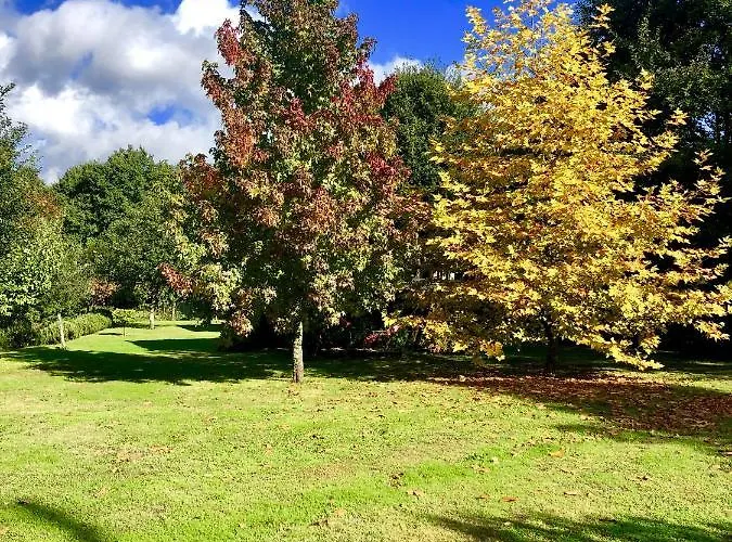 Feriehus Tree Pool Arcos de Valdevez