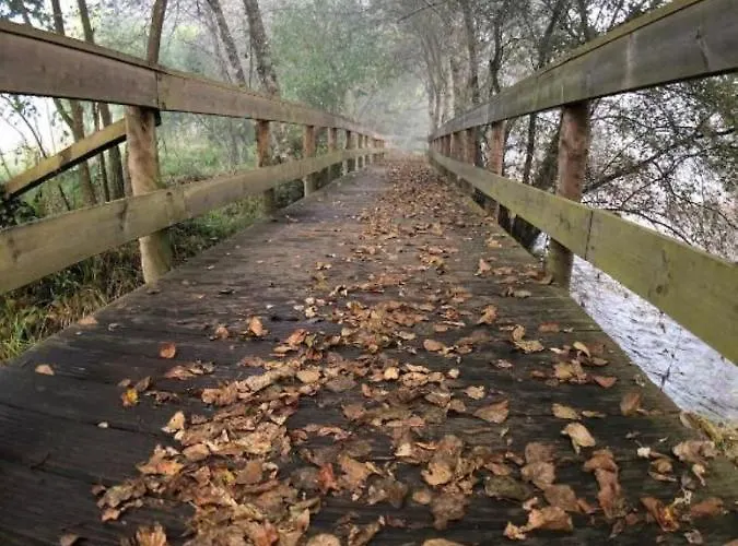 Tree Pool Feriehus *