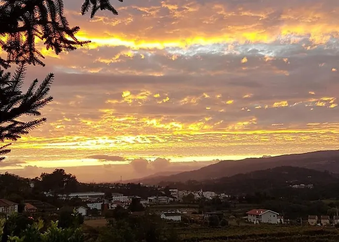 Tree Pool * Arcos de Valdevez